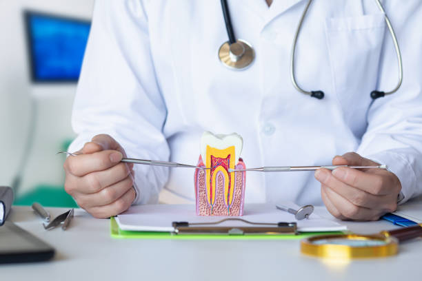 Best Cosmetic Emergency Dentistry in Centreville, MS